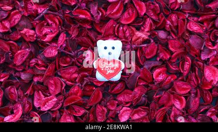 Vista dall'alto sullo sfondo della giornata di San Valentino con petali rosa e rosa rosso secco. Orsacchiotto bianco con testo ti amo. Messa a fuoco selettiva. Foto Stock