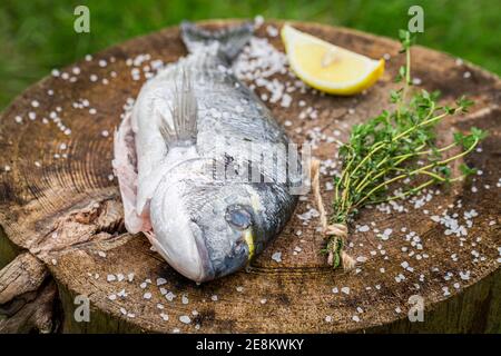 Orata di mare cruda con sale e limone per grigliare Foto Stock