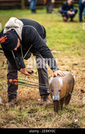 Bersaglio per tiro con l'arco e frecce, un animale falso cinghiale. Un arciere maschio si appoggia sul bersaglio per controllare il punteggio delle sue frecce. Foto Stock