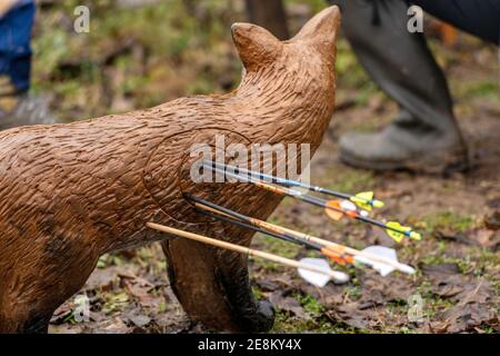 Primo piano di un bersaglio con tiro con l'arco e frecce, falso animale volpe su foglie caduti e fango in autunno. Italia. Foto Stock