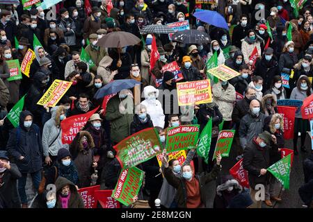 Parigi, Francia. 31 gennaio 2021. I manifestanti fanno bandiera durante una dimostrazione contro la legge sulla bioetica e la PMA (Assisted Reproductive Technology - ART) per tutti, a Parigi, in Francia, il 31 gennaio 2021. Foto di Raphael Lafargue/ABACAPRESS.COM Credit: Abaca Press/Alamy Live News Foto Stock