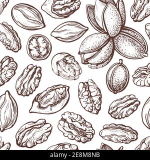 Pecan Nuts motivo senza cuciture in stile vintage. Schizzo di silhouette di texture vettoriale. Illustrazione botanica su sfondo bianco. Cibo sano e biologico. PAC Illustrazione Vettoriale