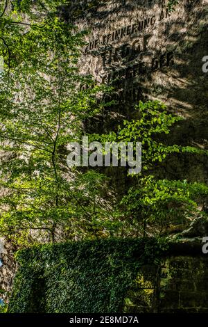 Sentiero escursionistico in pietra arenaria Bastei che conduce al ponte di Bastei. Foresta con grandi alberi secolari, paesaggi ombrosi della Svizzera sassone. Foto Stock