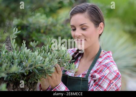 donna che pianta piante giovani in suolo di giardino Foto Stock