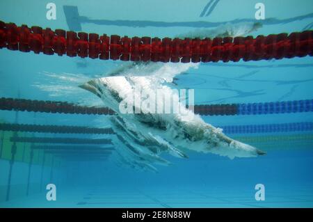 Illustrazione della partenza durante il Swimming Open EDF presso il Lagardere club, a Parigi, Francia, il 2 agosto 2007. Foto Gouhier-Kempinaire/Cameleon/ABACAPRESS.COM Foto Stock