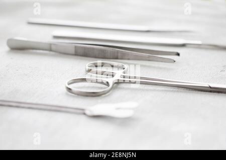 Un closeup isolato di kit di dissezione in acciaio inox su bianco sfondo Foto Stock