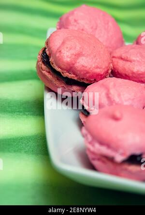 Molte piccole torte francesi su piatto bianco. Macaron rosa su sfondo verde. Foto Stock