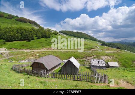 Rifugio nel Parco Nazionale 'Biogradska Gora', Montenegro Foto Stock