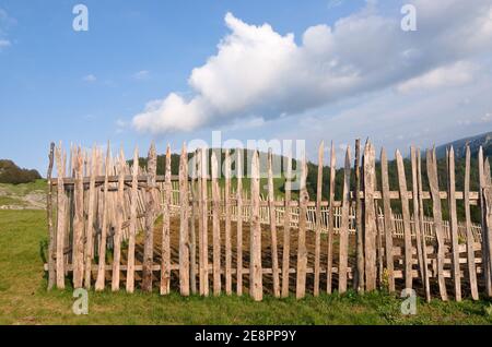 Recinzione, vecchio e stagionato, nel Parco Nazionale 'Biogradska Gora', Montenegro Foto Stock