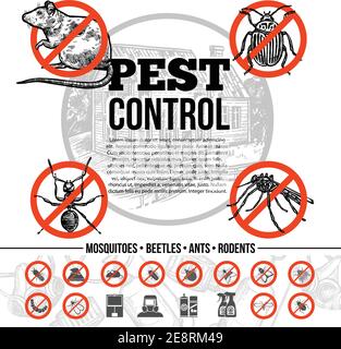 Infografiche di controllo di peste con le icone di ratto di insetti e mezzi di protezione nell'illustrazione vettoriale isolata in stile di schizzo Illustrazione Vettoriale