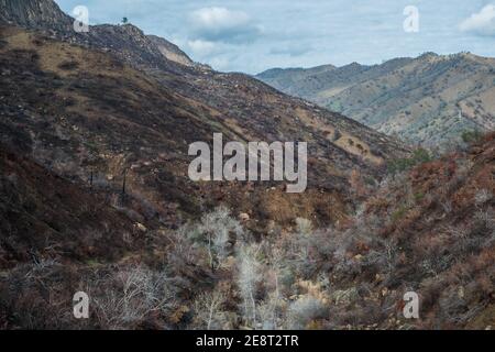 Il paesaggio è bruciato e desolato dopo incendi spazzati attraverso la natura selvaggia nella California settentrionale. Foto Stock