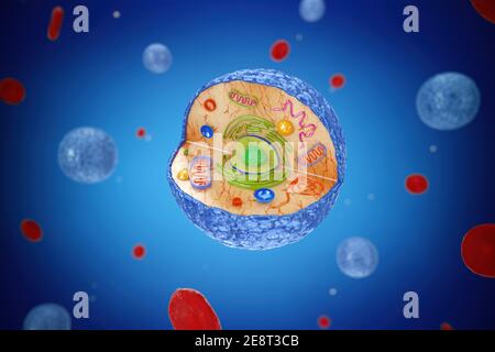 Struttura del diagramma interno della vista microscopica delle cellule umane su sfondo blu. Rendering 3d Foto Stock