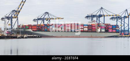 Immagine della nave portcontainer Henry Hudson Bridge mostrata carico/scarico al porto di Los Angeles. Foto Stock