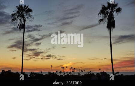 Oceano della California meridionale silhouette Sunset con palme Foto Stock