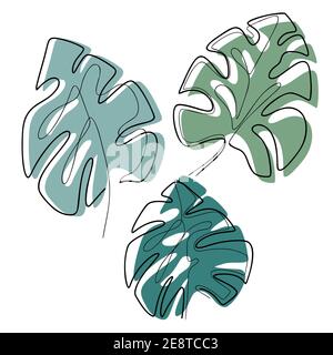 Set di illustrazioni del contorno di foglie di monstera con macchie colorate. Flora tropicale. Immagine monolina. Vettore trendy linea continua fogliame di varie sh Illustrazione Vettoriale