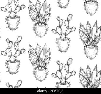 Texture di schizzo senza giunture di cactus in pentole con tratteggio. Tessuto con contorno fiori fatti in casa. Carta da parati monocromatica con vari succulenti. presa di diagnosi manuale Illustrazione Vettoriale