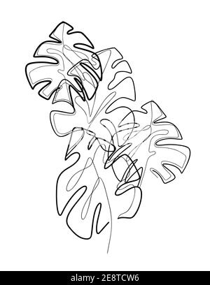 Composizione da foglie monoline di monstera. Contorno fogliame tropicale. Nero e bianco contorno cespuglio trendy. Illustrazione delicata per la stampa. Delicato s Illustrazione Vettoriale