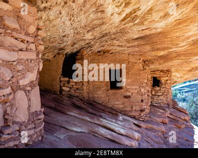 Casa sul fuoco rovina granaio in Mule Canyon, Cedar Mesa. In Bears Ears National Monument vicino a Monticello e Blanding Utah e Cedar Mesa Reservation Foto Stock