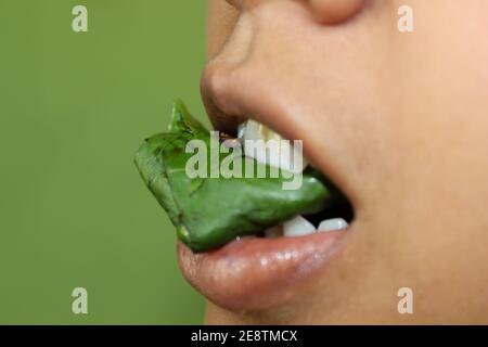 Masticare la noce di betal, Paan, India profumatore della bocca di erbe dopo aver mangiato il cibo Foto Stock