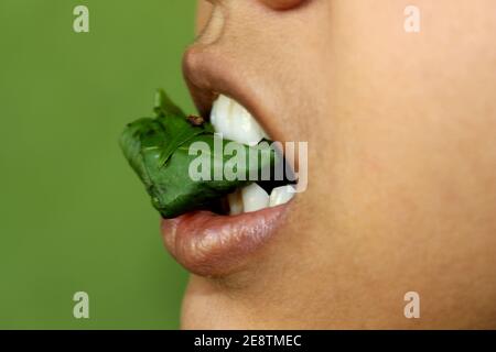 Masticare la noce di betal, Paan, India profumatore della bocca di erbe dopo aver mangiato il cibo Foto Stock