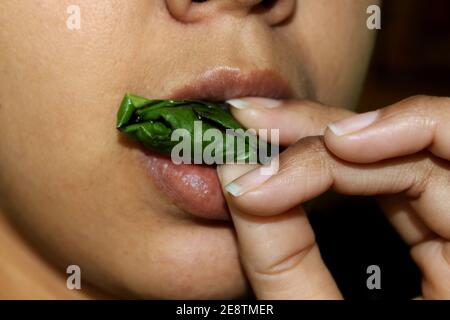 Masticare la noce di betal, Paan, India profumatore della bocca di erbe dopo aver mangiato il cibo Foto Stock