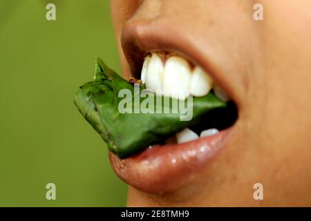 Masticare la noce di betal, Paan, India profumatore della bocca di erbe dopo aver mangiato il cibo Foto Stock