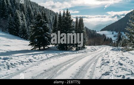 Inverno innevato paesaggio vista di una strada di campagna che conduce attraverso la foresta di montagna abete rosso in slovacco basso Tatry montagne. Foto Stock