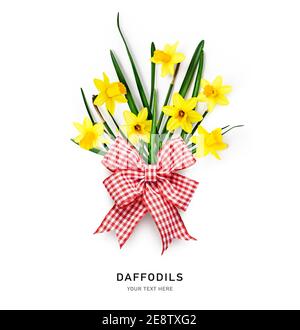 Layout creativo con piccoli narcisi primavera fiori e fiocco nastro isolato su sfondo bianco. Composizione floreale con narcisi gialle. E Foto Stock