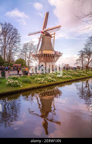 Lisse, Paesi Bassi - 4 aprile 2016: Mulino a vento e aiuole nel giardino primaverile Keukenhof, persone Foto Stock