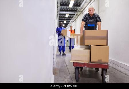 L'anziano lavoratore spinge molti pacchetti su carrelli di spinta al reparto merci in entrata di una fabbrica Foto Stock