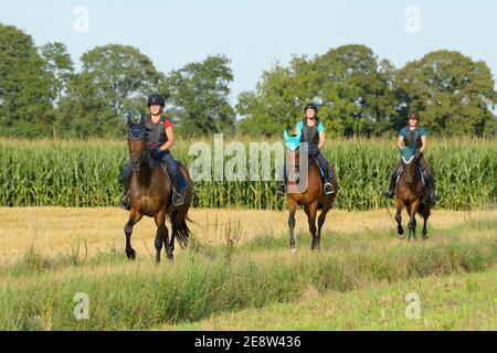 Tre piloti che indossano una protezione per il corpo durante l'hacking e la trotting Foto Stock