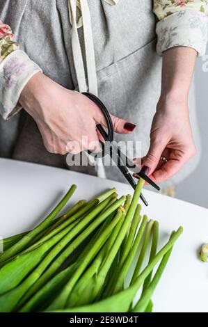 Una ragazza fiorista con forbici in mano fa un bouquet di tulipani gialli, arancioni e rossi. Sfondo bianco Foto Stock