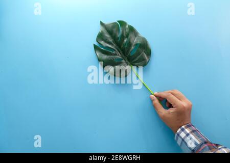 mano tenendo la foglia di palma su sfondo blu Foto Stock