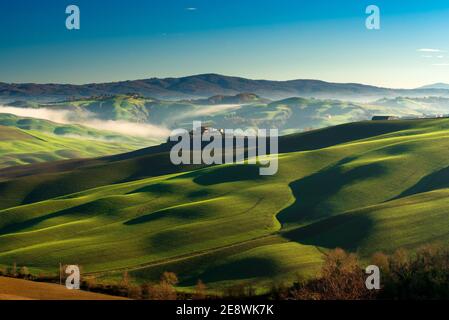 Verdi colline ondulate in una mattinata di sole invernale nello scenario del paesaggio delle crete senesi vicino Asciano, Siena Foto Stock