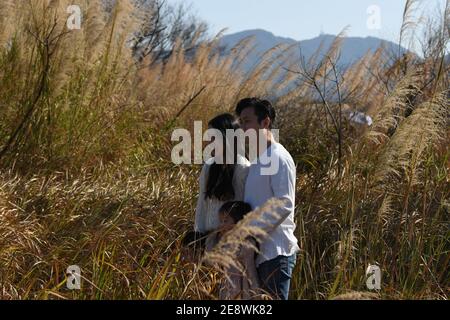 Giovane coppia asiatica scattando foto in un campo tra l'erba alta nella zona di Fanling, Hong Kong Foto Stock