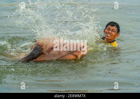 Lopburi, Thailandia - Gennaio 2019: Il ragazzo rurale fa il bagno di bufali nella palude nella campagna di Lopburi, Thailandia Foto Stock