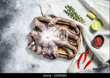 Polpo crudo in una ciotola. Frutti di mare biologici. Sfondo grigio. Vista dall'alto Foto Stock