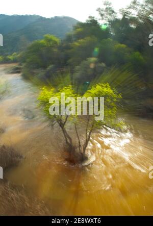 Primavera en el Río Jándula, Parque Natural Sierra de Andújar, Jaen, Andalucía, España Foto Stock