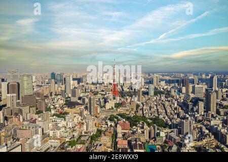 Vista aerea dello skyline di Tokyo e della torre di tokyo in Giappone Foto Stock