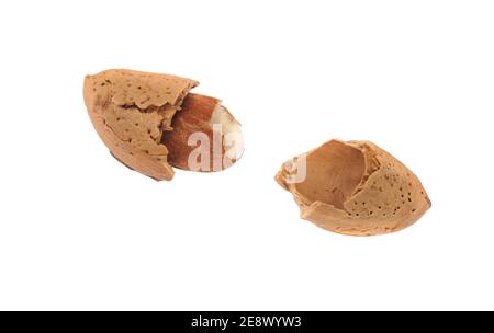 Mandorla organica spaccata a metà su sfondo bianco primo piano. Foto Stock