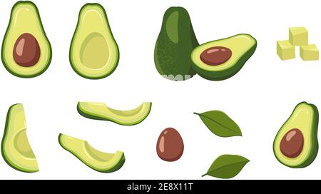 Icone avocado impostate Illustrazione Vettoriale