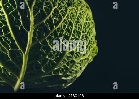 Immagine closeup di un cavolo sabaudo isolato su nero. Foto Stock