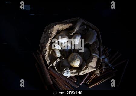 Funghi in sacchetto di carta marrone con rametti e sfondo scuro Foto Stock