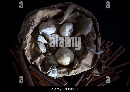 Funghi in sacchetto di carta marrone con rametti e sfondo scuro Foto Stock