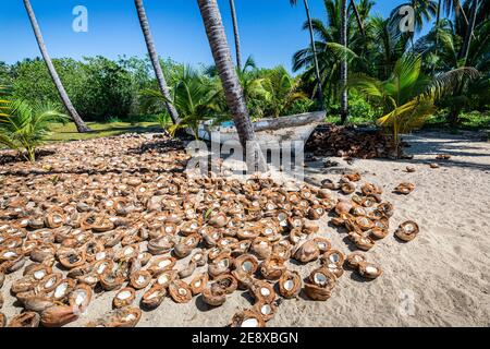 Le noci di cocco si asciugano vicino a una barca da pesca a Paraiso Escondido Beach sulla Costa Grande dell'Oceano Pacifico a Guerrero, Messico. Foto Stock