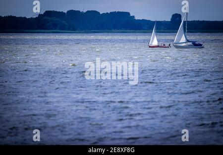 30 luglio 2020, Meclemburgo-Pomerania occidentale, Ueckermünde: Barche a vela sono in corso sulla laguna di Szczecin. Foto: Jens Büttner/dpa-Zentralbild/ZB Foto Stock