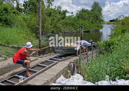 I turisti che tirano la barca sulla rampa dall'acqua che porta alla Riserva Naturale di Bigi Pan a Nieuw Nickerie, Suriname / Surinam Foto Stock