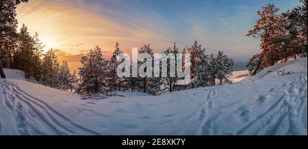 Vista del tramonto su una foresta ghiacciata innevata con innevati di abete rosso, abete e pino sulla costa del mare. Foto Stock