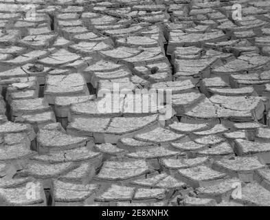 Terra spaccata durante una siccità nel sud della Florida. Foto Stock