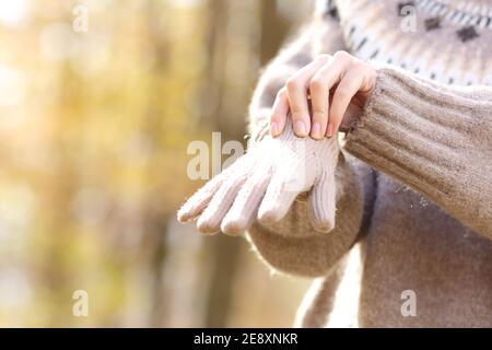 Primo piano di mani donna che mettono guanti in inverno un parco Foto Stock